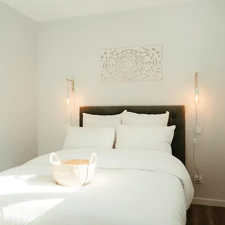 Loxe - Luxe Lot *