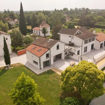 Loxe - Luxe Lot *