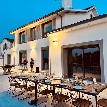 Loxe - Luxe Lot